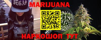 индика Ефремов