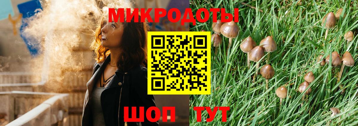 Зеленогорск  Галлюциногенные грибы GOLDEN TEACHER  цена наркотик  Вход с VPN 