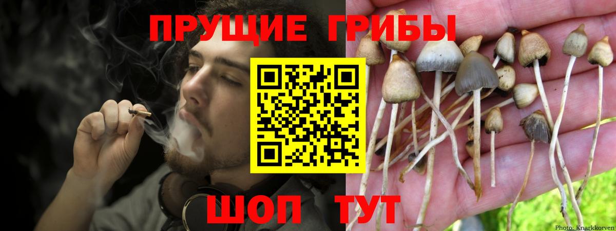 Галлюциногенные грибы Cubensis Зеленогорск